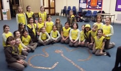 Brownies gather money for charity