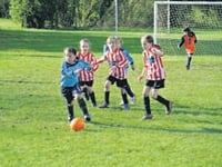 Ross girls head to see national team