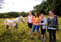 Lacing up for nags in need