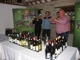 Monmouthshire vineyards among the best in Wales