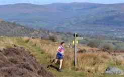 Harriers give ‘Grunt’ of approval