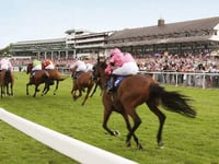 Veterans group at Chepstow Racecourse