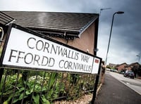 Armed burglar sentenced to seven years in prison