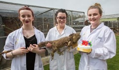 30th birthday celebrations for Usk’s record breaking reptile