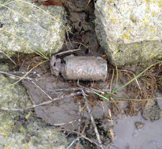 Smoke grenade found at Beachley point