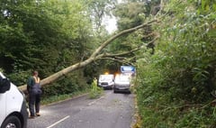 Downed tree causes delays on Monmouth to Chepstow road