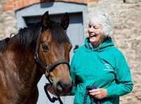 Rescue centre and visitor attraction to open near Chepstow