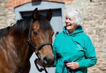 Rescue centre and visitor attraction to open near Chepstow