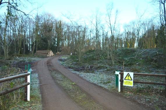 Woodland clearance part of restoration
