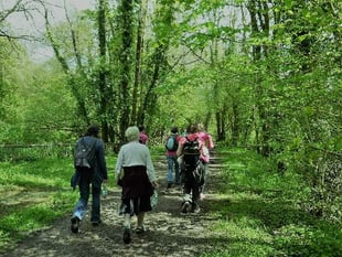 Popular Walk the Way fundraiser moved to September