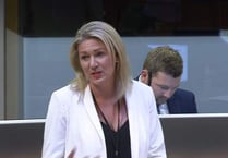 A Senedd member has raised concerns on online healthcare