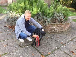 Reuniting old 'comrades' and rescuing animals in distress