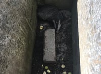 Badger out of the line of fire