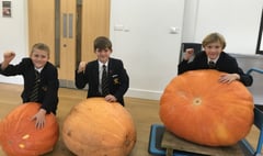 Drew's giant pumpkin tops the school scales at 76 kg!