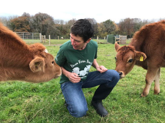 Sanctuary welcomes two calves from reality show