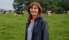 Thousands of Welsh farmers to receive early pay support