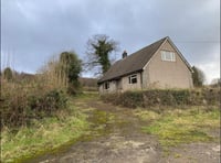 Woman wins right to move into bungalow thanks to Donald Trump