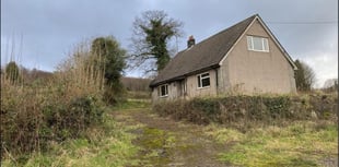 Woman wins right to move into bungalow thanks to Donald Trump