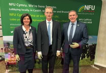 Challenges of agricultural trading put before minister