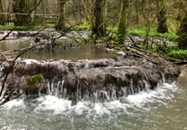 Rare brook dams 'saved' as park lodges plan rejected 