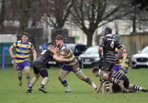 Monmouth outgunned by strong Nelson play