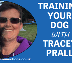 Training your dog with Tracey Prall 