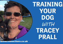 Training your dog with Tracey Prall