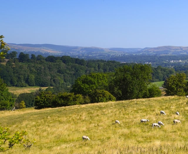 Wales launches first-ever strategy to tackle wildlife and rural crime