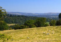 Wales launches first-ever strategy to tackle wildlife and rural crime