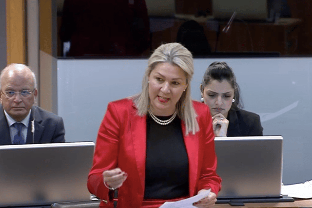 Shadow role blow for MS amid expenses probe