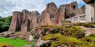 Towering example of a great little castle!