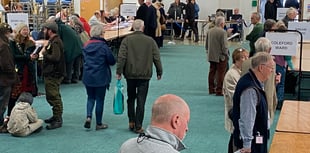 Greens win big in local elections, claim two seats in Tidenham