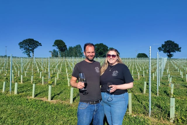 GALLERY: vineyard based in Raglan celebrates Welsh Wine Week 