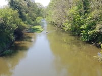 Researchers probe cause of Wye algal blooms