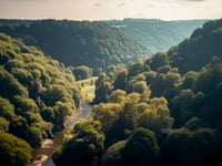 Dave Kent on the Forest and Wye Valley's 'thriving' arts scene