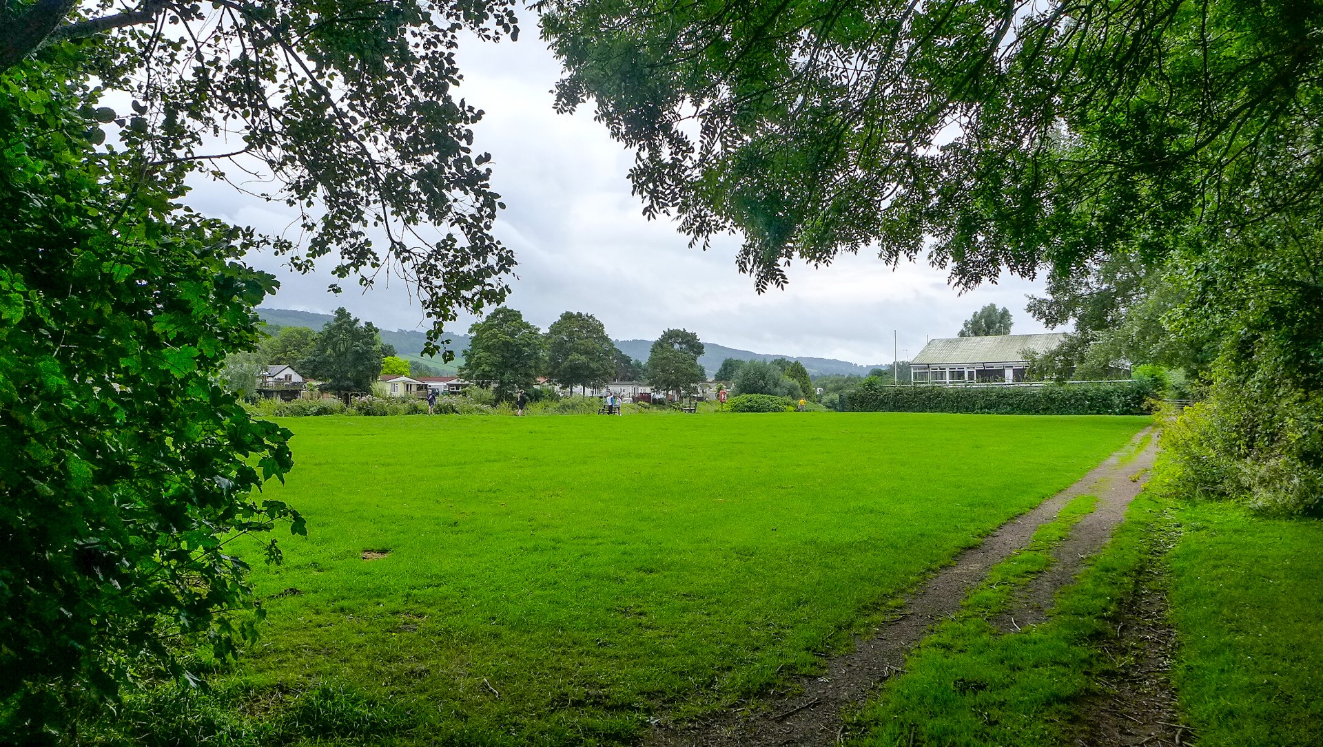 Biodiversity plan for the Town Field raises concern