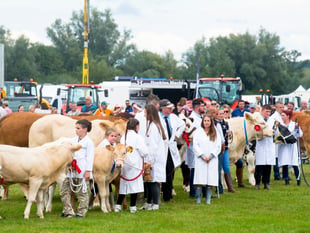 Usk Show makes top ten for whole UK