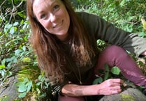 Ace forager Chloe finds one of Britain’s rarest fungi in Monmouthshire