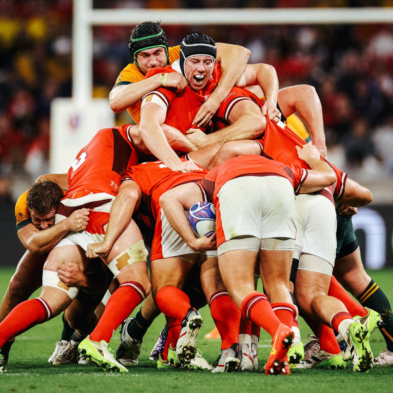 Wales’ blizzard of Oz!