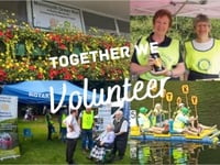 Rotary street collection for disasters