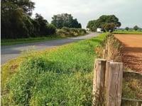 MP blamed for rise in gypsy plan costs
