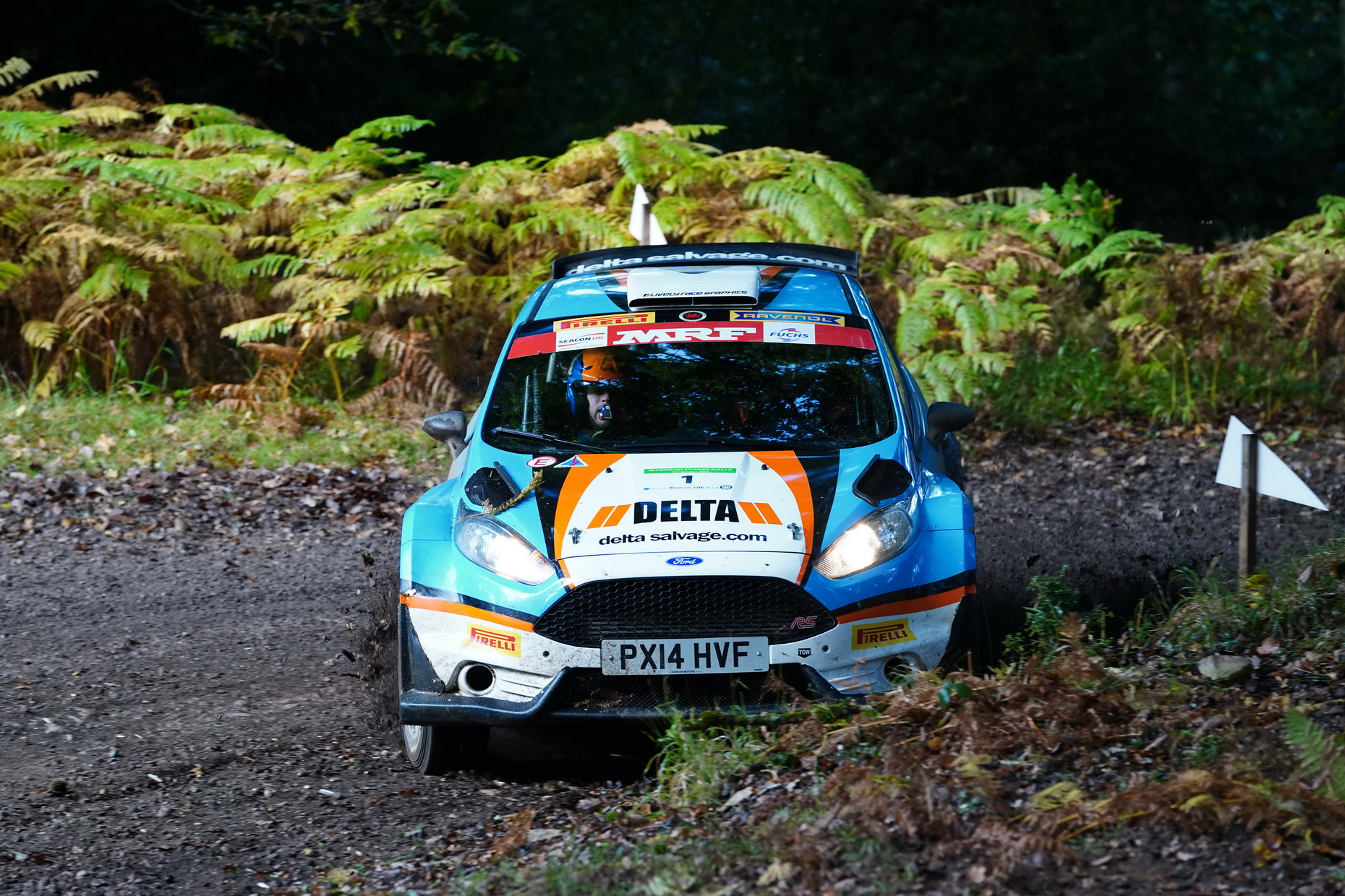 Green for go for 45th Wyedean Stages