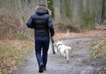 Consultation on plans to keep public spaces clear of dog poo