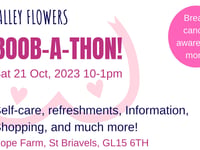 Breast cancer fundraiser