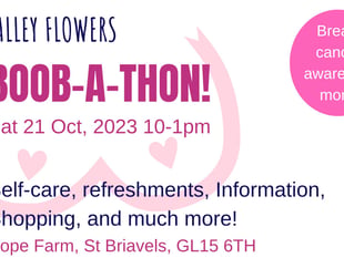 Breast cancer fundraiser