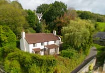Period cottage for sale comes with "woodland wonderland" and Wye Valley views 