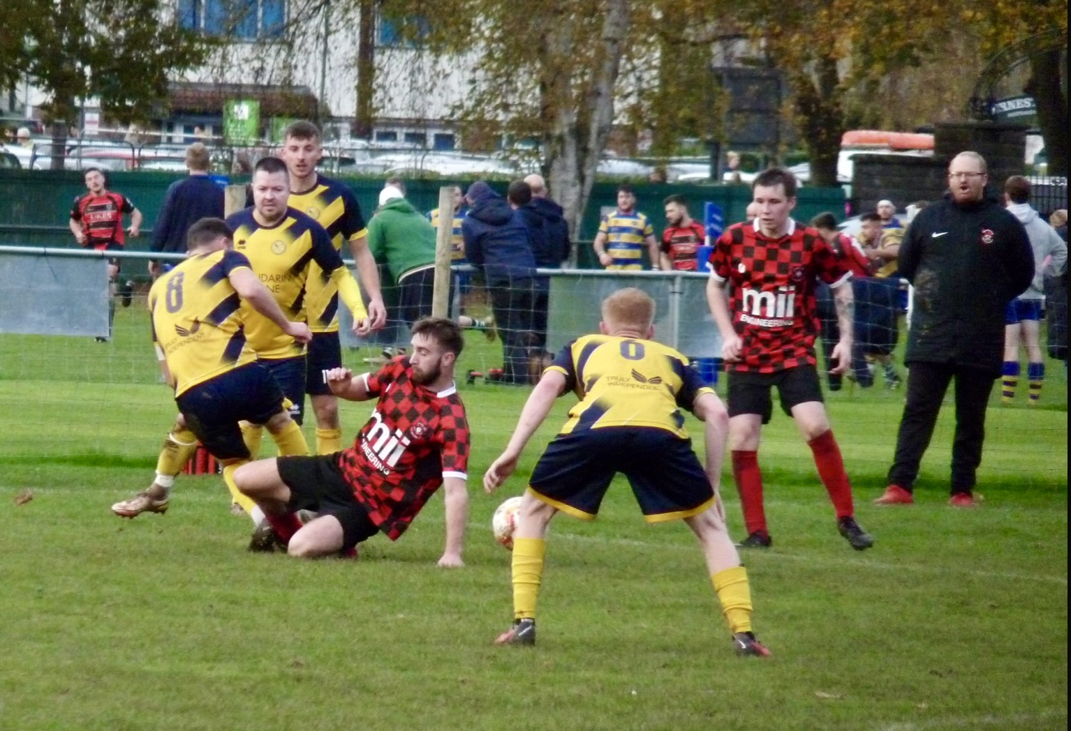 Kingfishers draw comfort