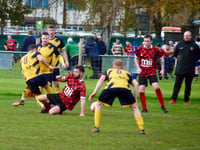 Kingfishers draw comfort