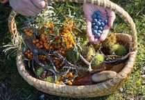 Foraging talk tonight