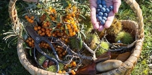 Foraging talk tonight